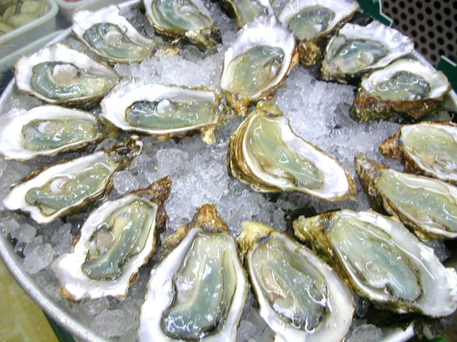 oyster-plateau-lyon1